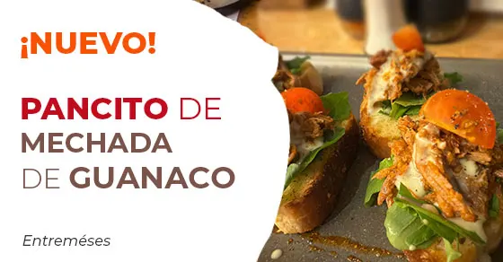 PROMO-pancito-mechada-guanaco2